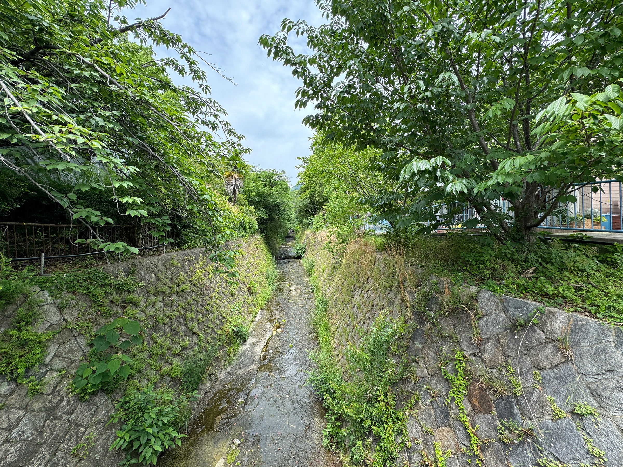 神戸 灘区 青谷町 No.2