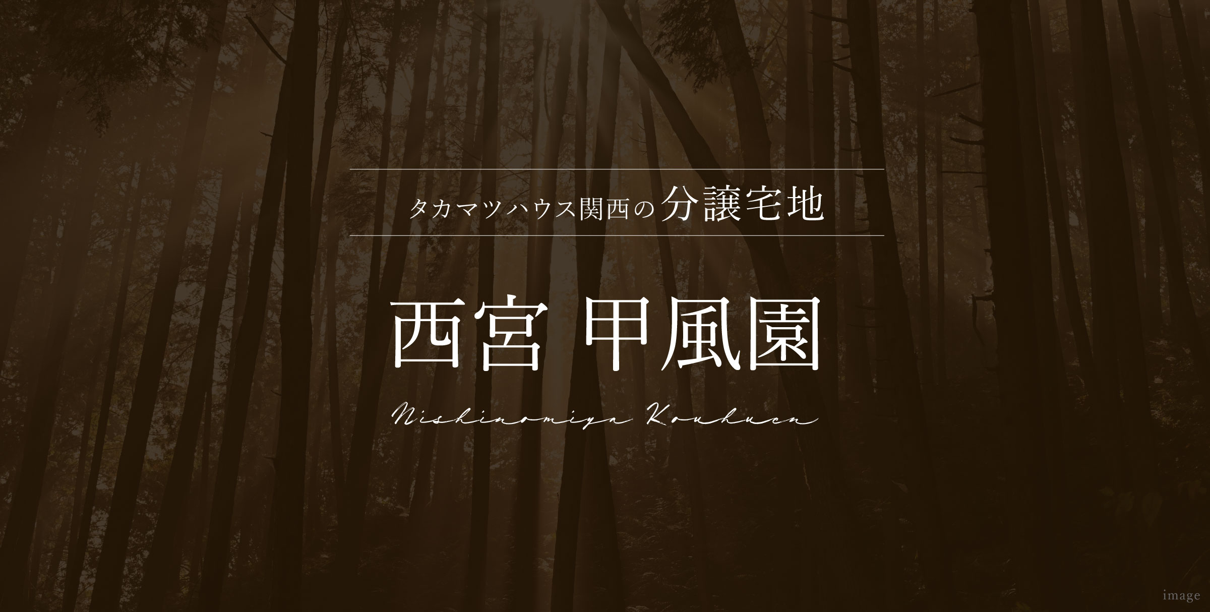西宮 甲風園