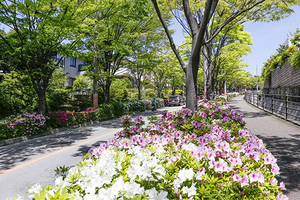 街路樹計画の写真